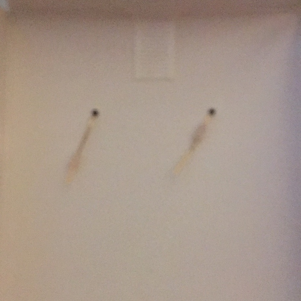 House of Harlow 1960 earrings - Picture 5 of 13